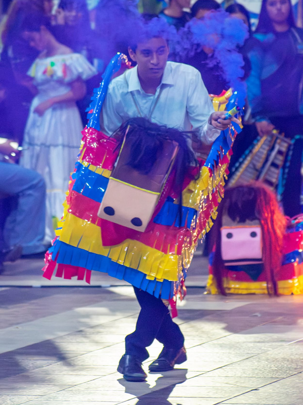 Noche Cultural